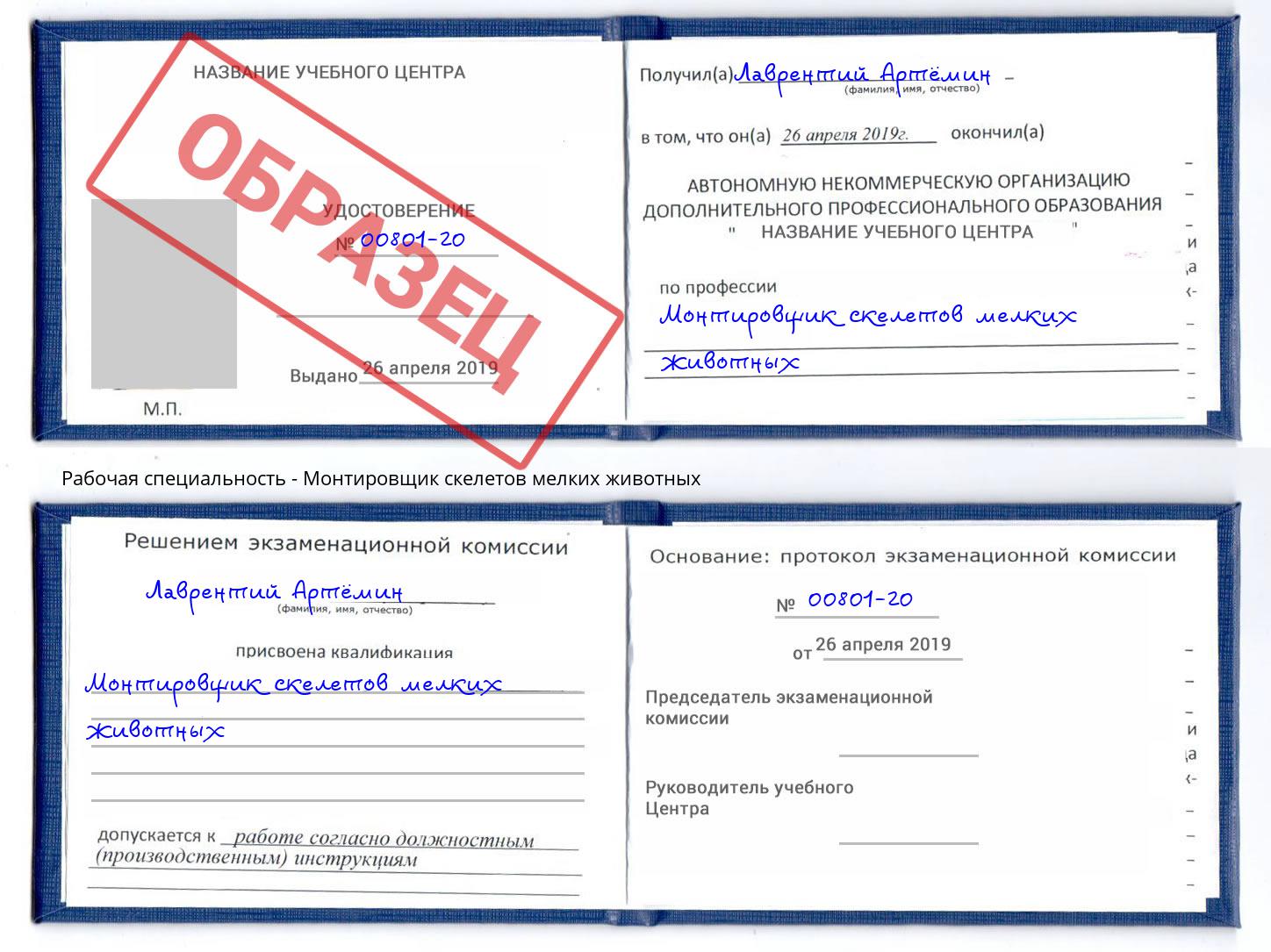 Монтировщик скелетов мелких животных Долгопрудный