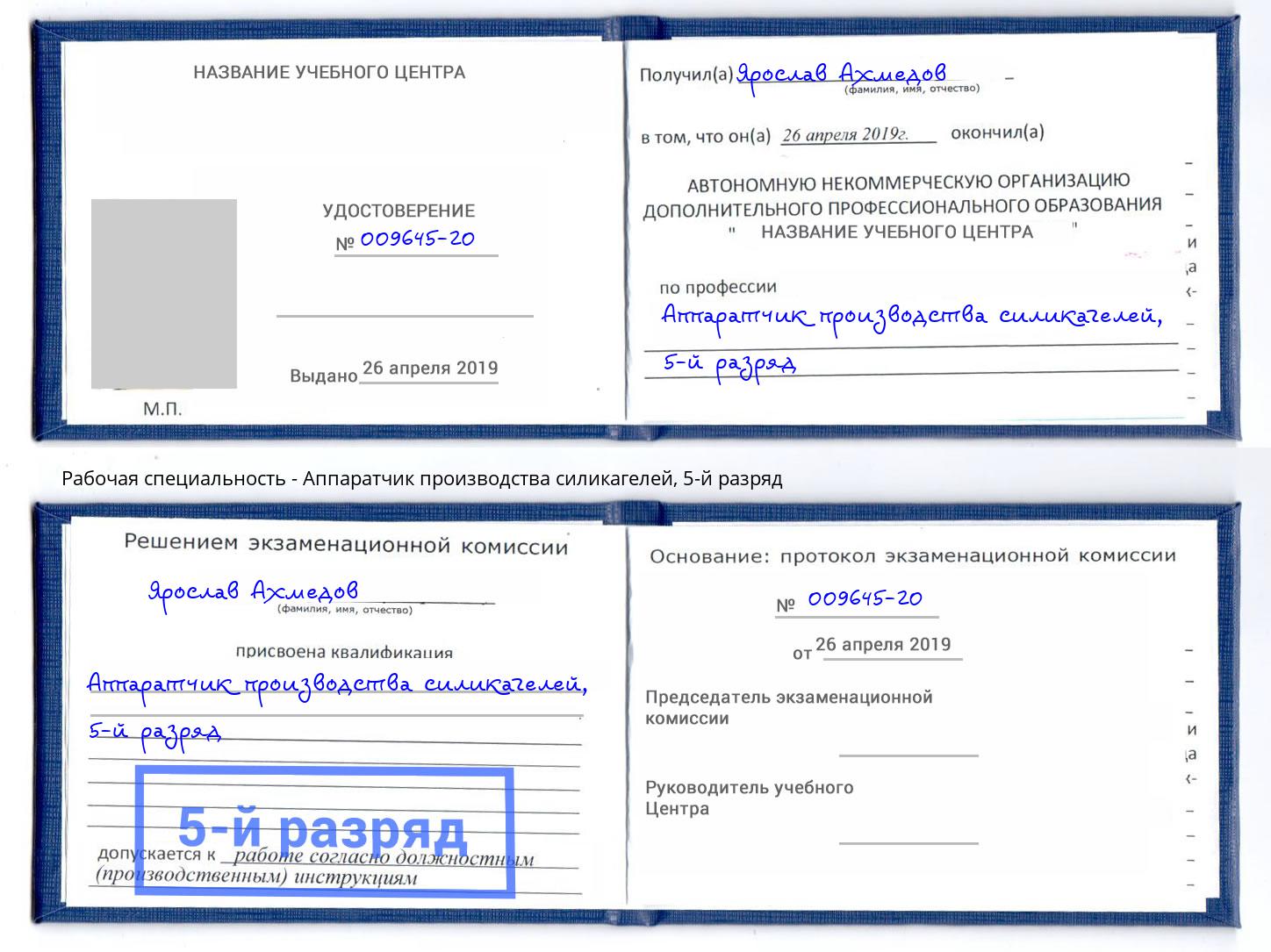 корочка 5-й разряд Аппаратчик производства силикагелей Долгопрудный