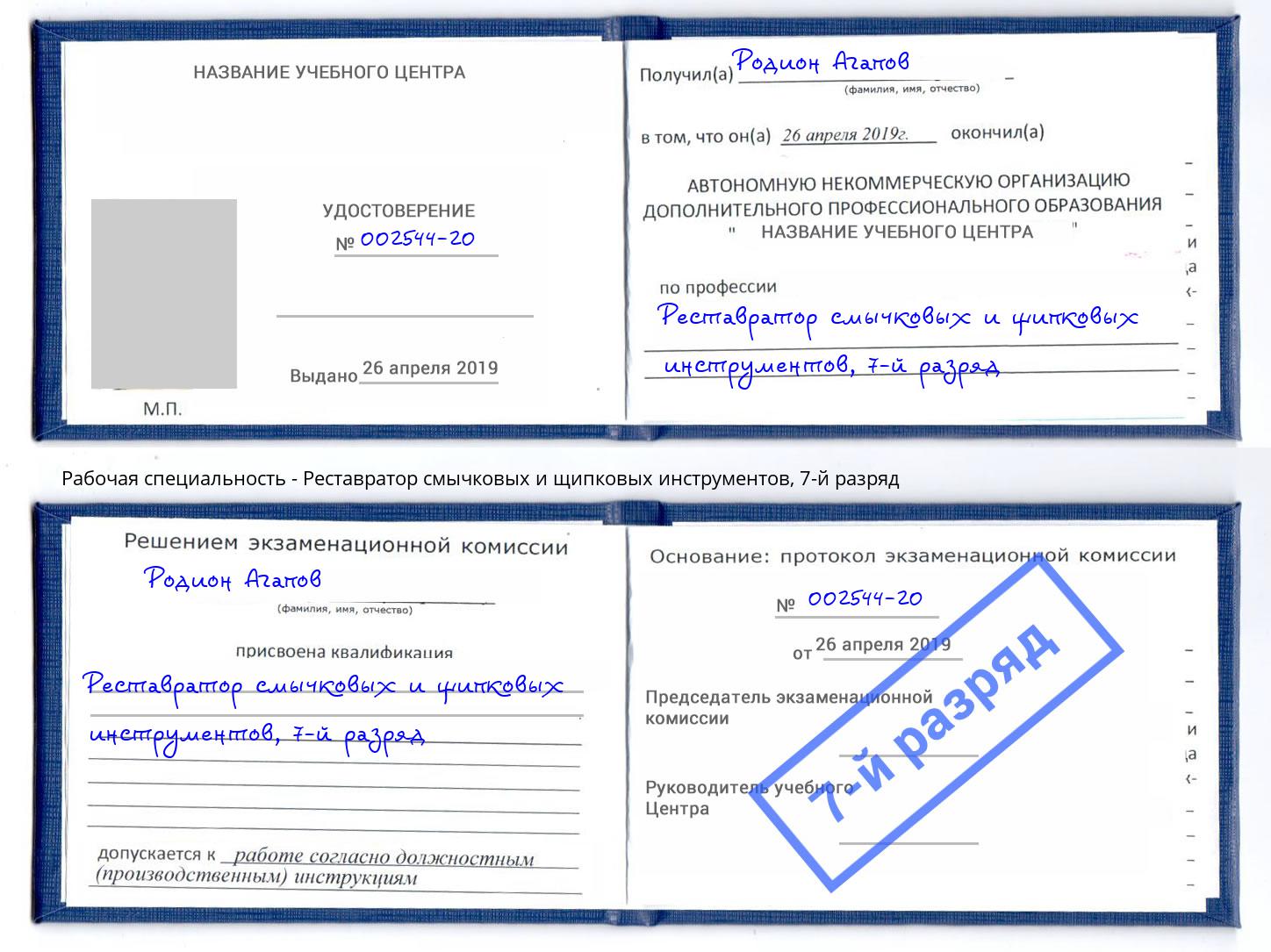 корочка 7-й разряд Реставратор смычковых и щипковых инструментов Долгопрудный