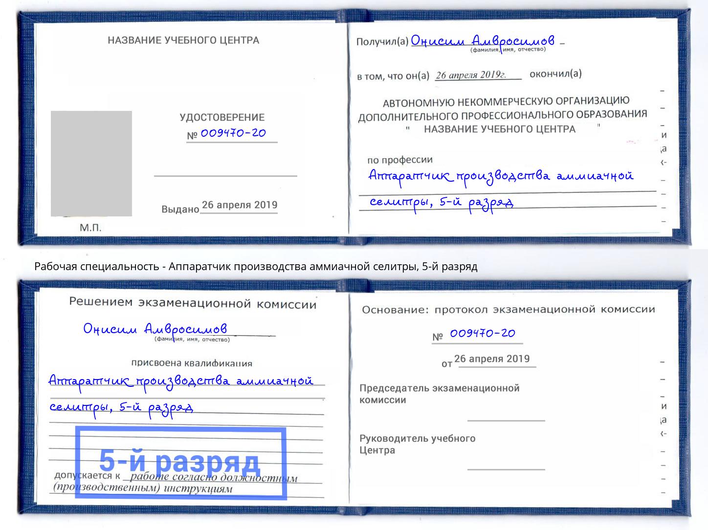 корочка 5-й разряд Аппаратчик производства аммиачной селитры Долгопрудный