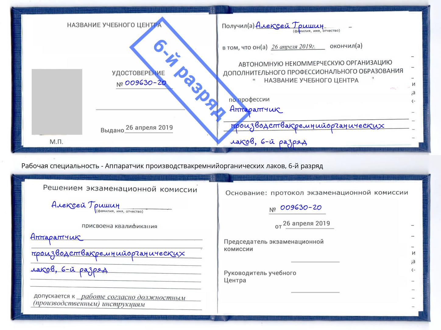 корочка 6-й разряд Аппаратчик производствакремнийорганических лаков Долгопрудный