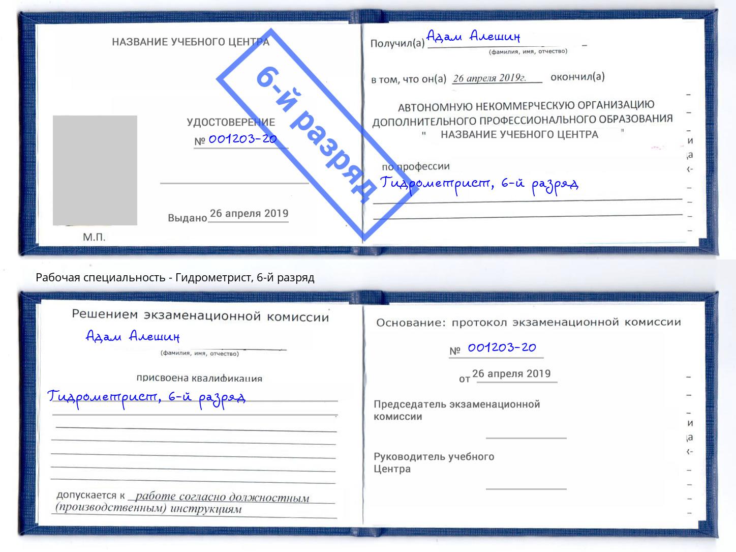 корочка 6-й разряд Гидрометрист Долгопрудный